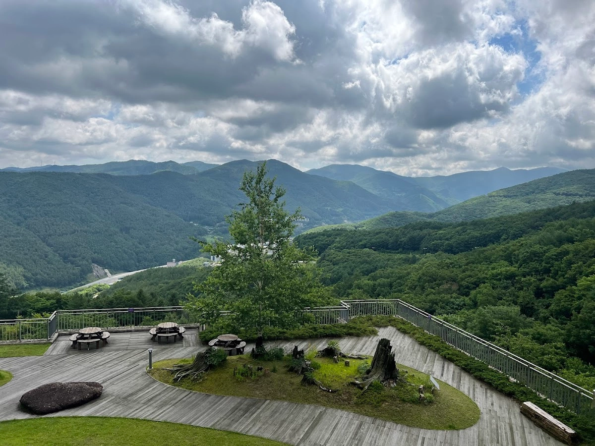 하이원 리조트 3